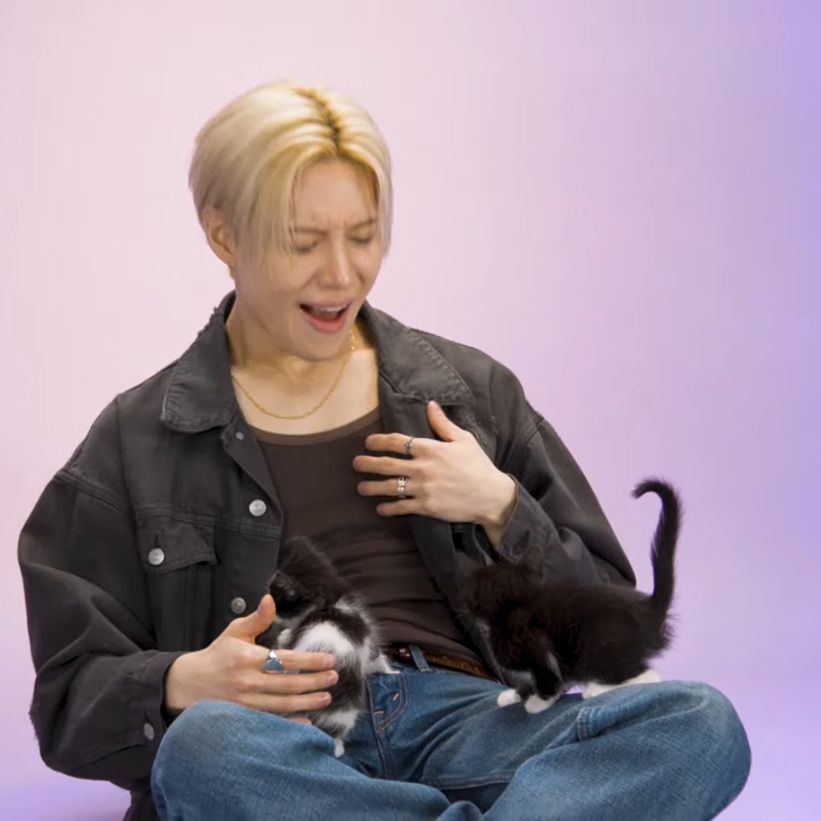 울어..... tweet media