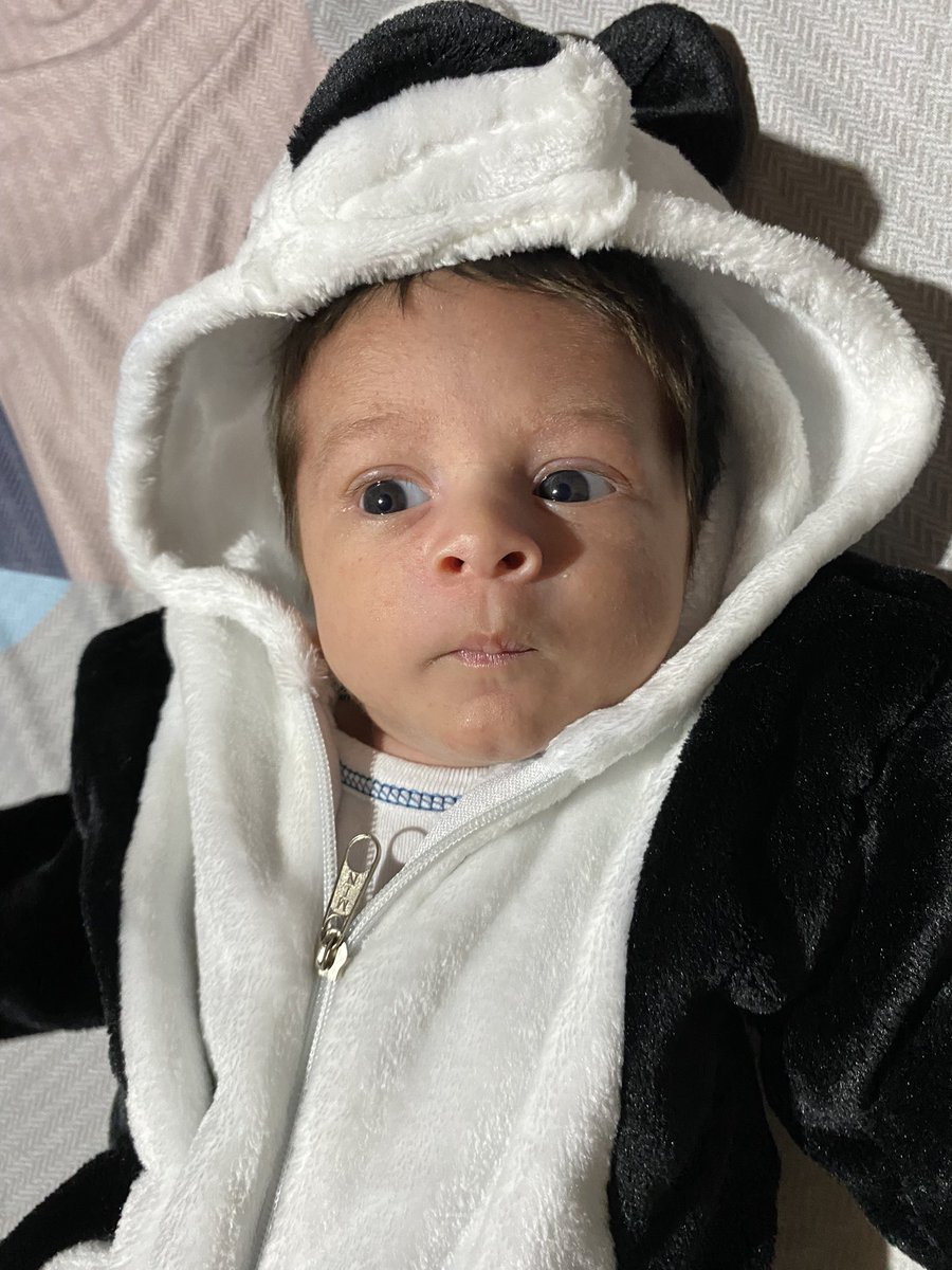 El segundo amor de mamá 😍