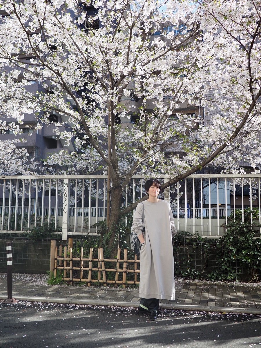 日食なつこ (@NSN58) / Posts / X