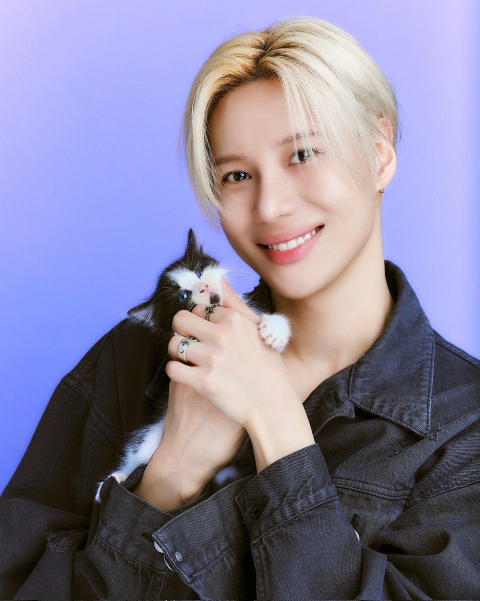 syanblue's tweet photo. buzzfeedceleb IG
 #TAEMIN #kitteninterview

📸: @hannahsushi 
🐱: @friendsofnormie https://t.co/8Fs4hGdiXx