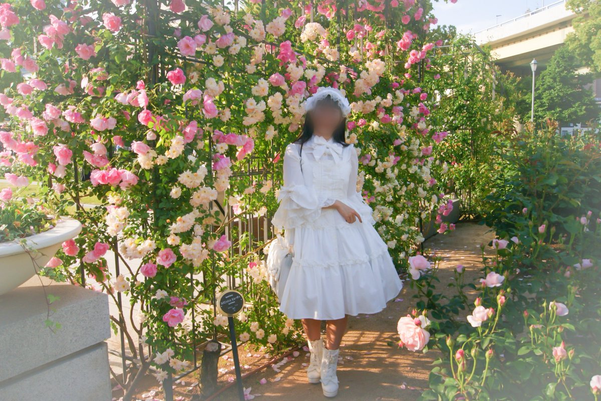 Meg_OU_ojou's tweet photo. 中之島公園に行ってきました🌹 https://t.co/sORKRvLSyw