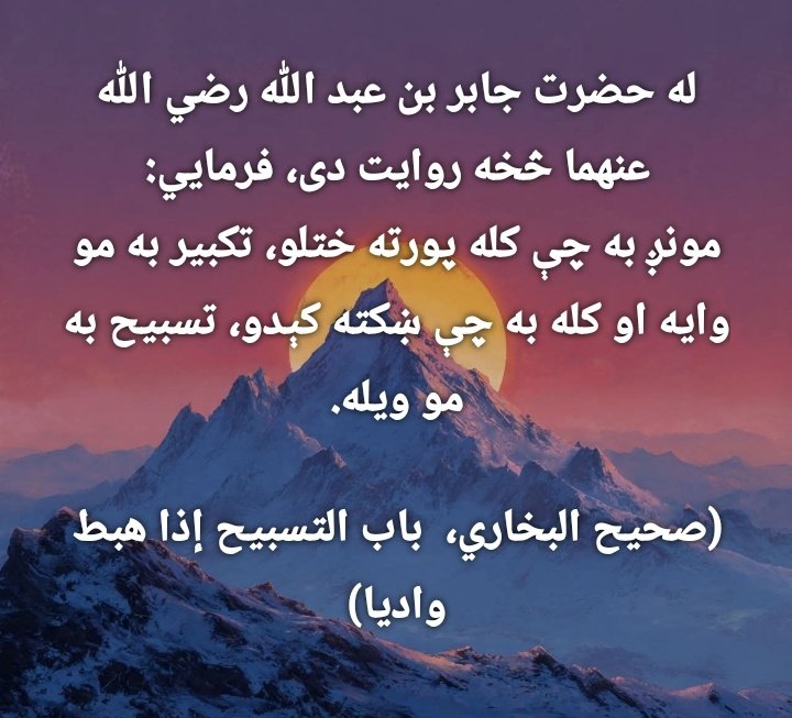 قاري نقیب الله ریحان tweet media
