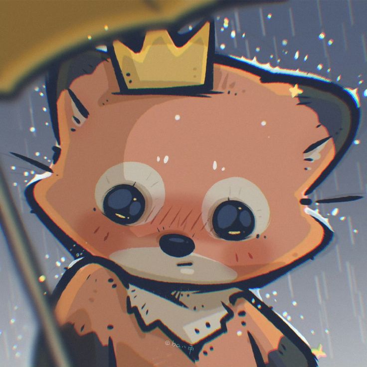 rain