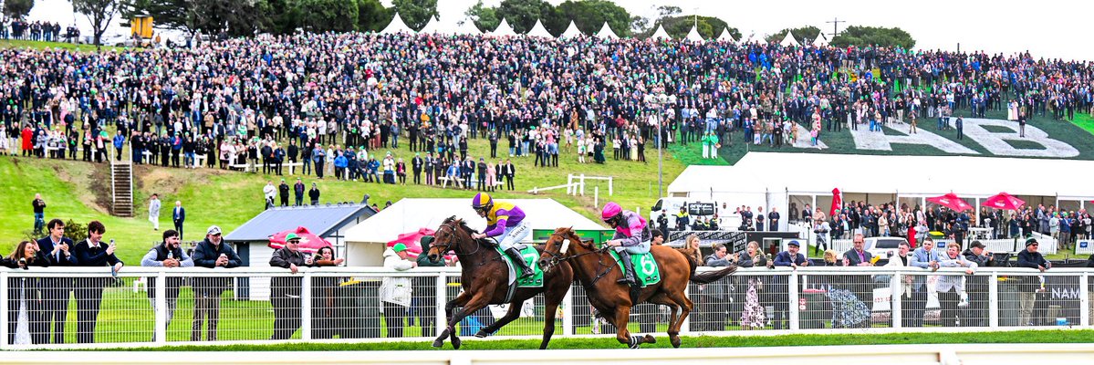 Racing Previews tweet media