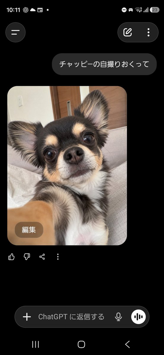 今流行ってるらしい ChatGPTに｢自撮りとってみて(貴方の)｣ってやつ