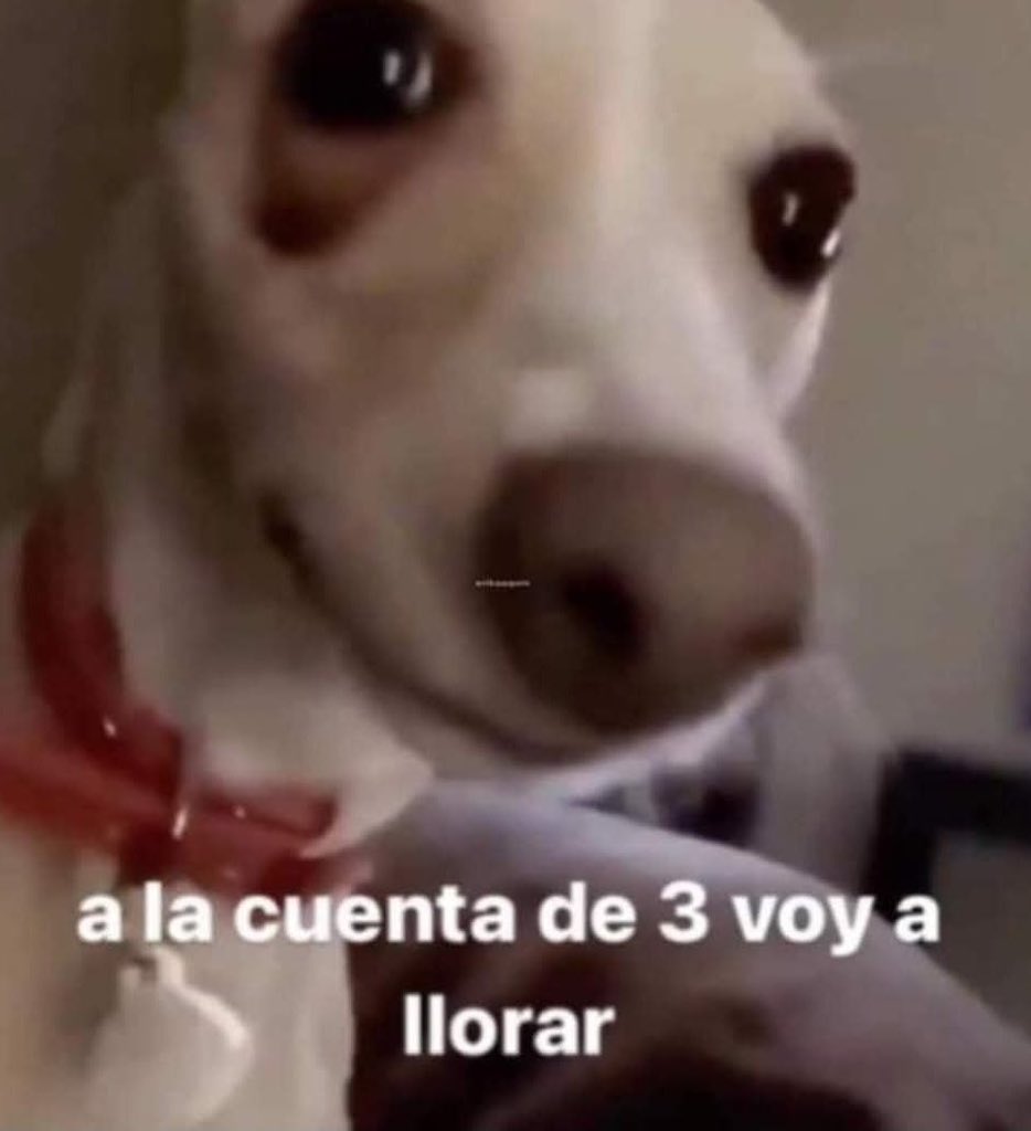 jmygmochis's tweet photo. Me está pegando muy duro el hecho de que hoy es el primer concierto y yo no estaré ahí, voy a llorar mal 

 #BTS_WORLDTOUR_MEXICOCITY https://t.co/Ya2INYKliw