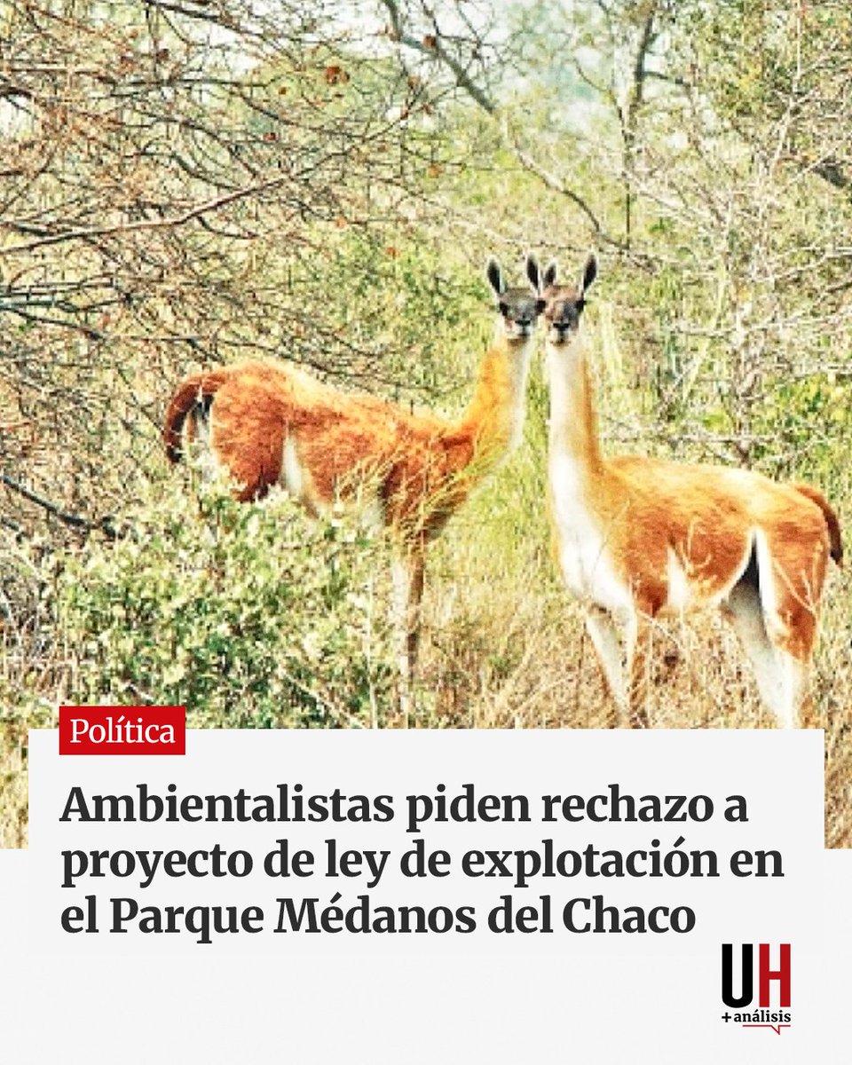 La Coalición Por Los Bosques, que reúne a diversas organizaciones locales, emitió un comunicado pidiendo el rechazo a la iniciativa del diputado colorado cartista José Rodríguez, y alertó sobre un retroceso jurídico que pone en riesgo el ecosistema más frágil del Chaco paraguayo.