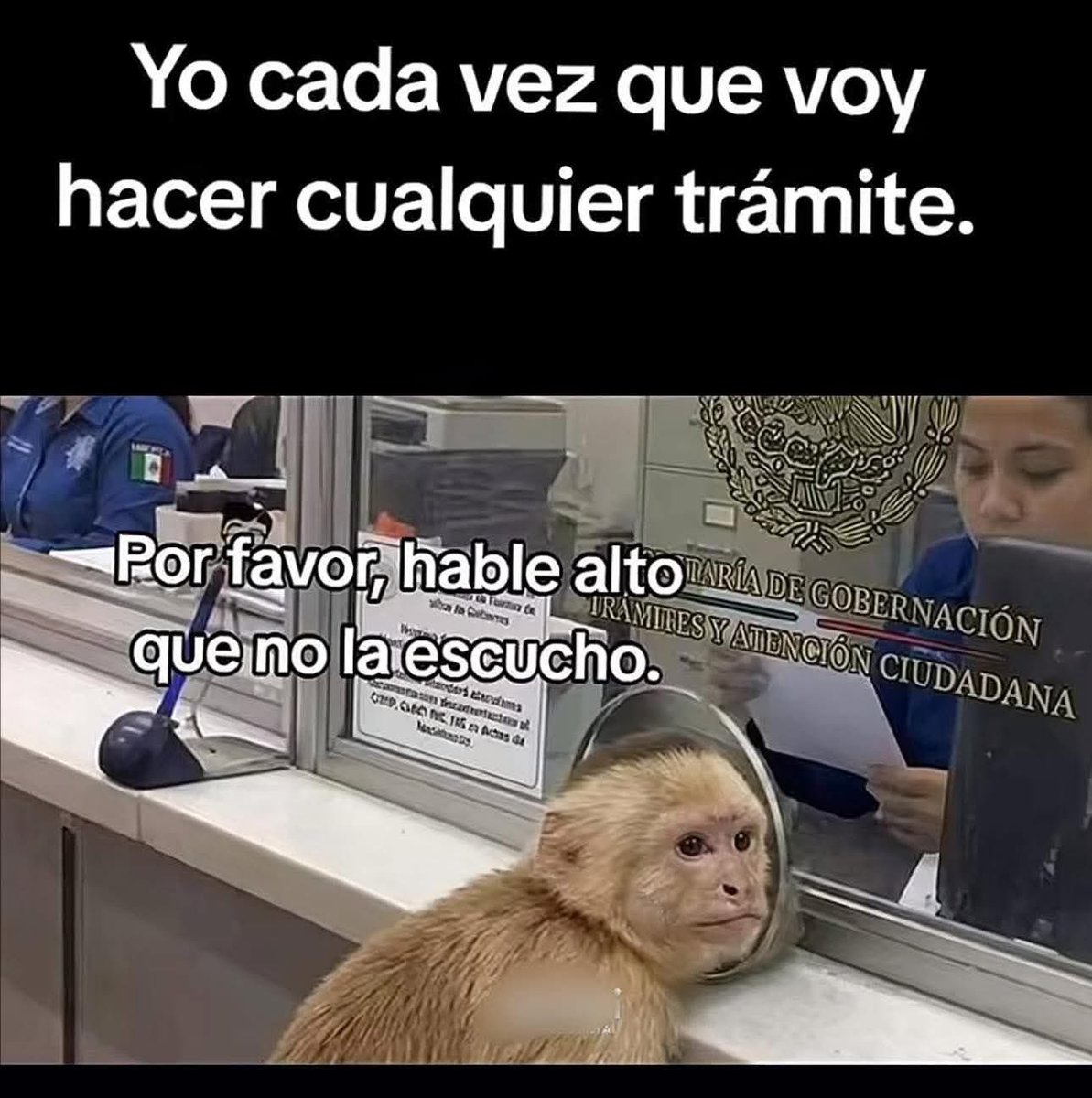 El Meme (@memessv7) on Twitter photo 
