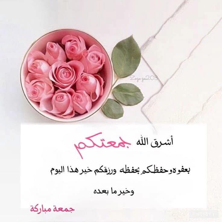 مصر الحياة 🇪🇬 💖دعاء tweet media