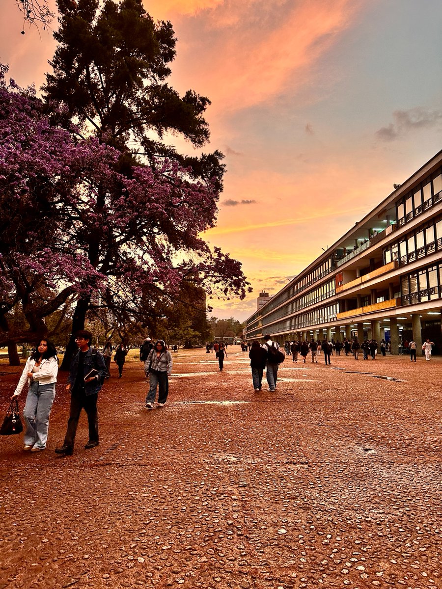 UNAM_MX's tweet photo. Atardeceres de #PostalUNAM en #CU 🥰. ¿Has presenciado alguno? Comparte con nosotros tus mejores capturas de la vida universitaria en nuestro Instagram oficial > https://t.co/myKTp67L74 https://t.co/ZjPH9gKNuR