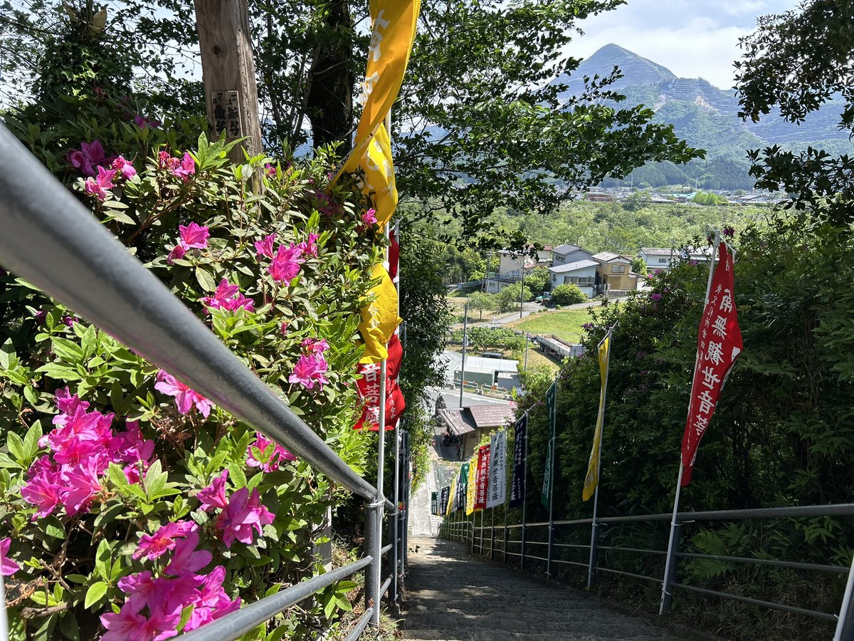 🌸 #秩父札所 花情報🌸
5/7の様子です
札所20番の青もみじがキレイです！
札所24番のツツジも咲いています！