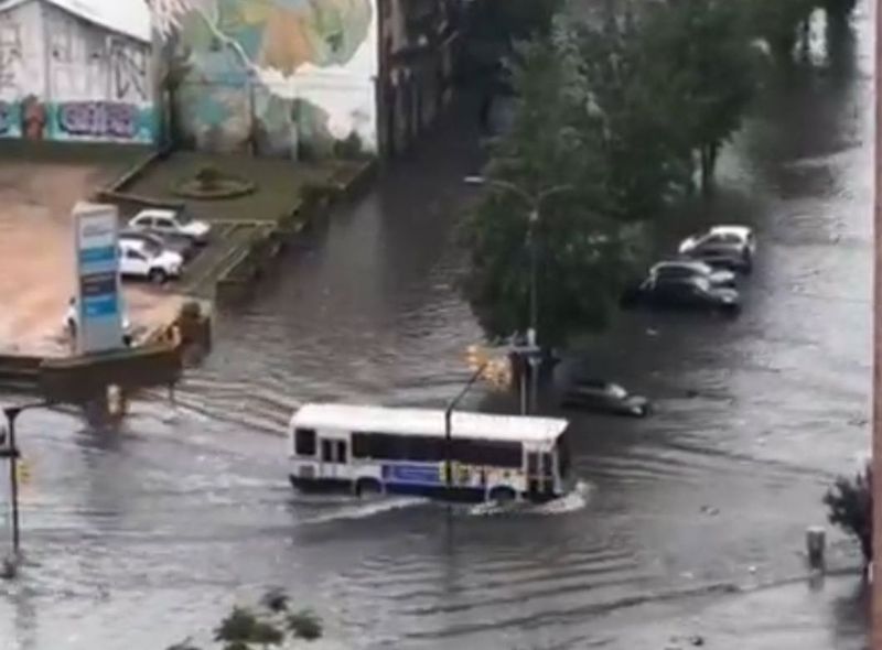 Víctor Márquez Cassinese 🐍🦔 tweet media