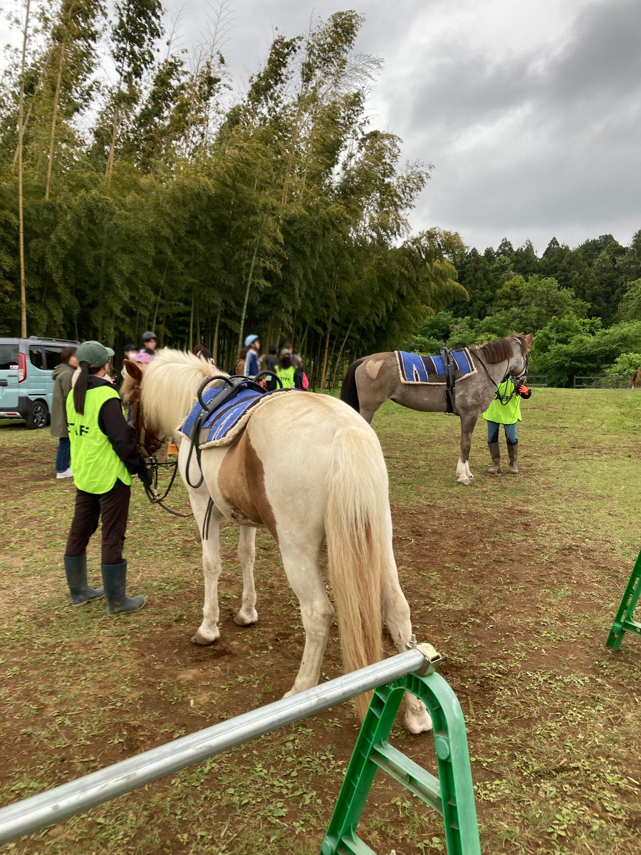 にまるる🐴使用済み蹄鉄リメイク作家 tweet media