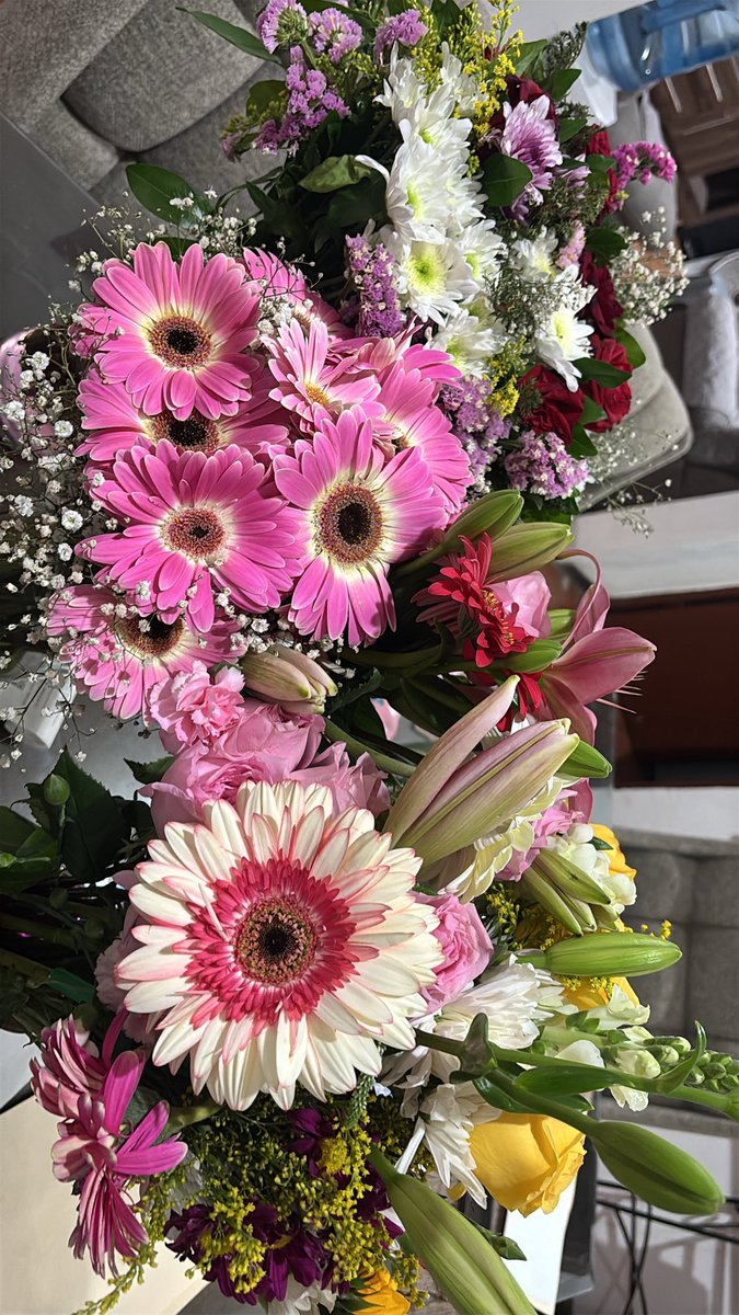 Wey amooooo mis florecitas bellas🥺💛💛

Me maman las flores y mis personas favoritas lo saben💛💛