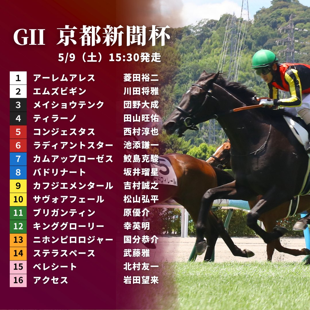 JRA-VAN公式 tweet media