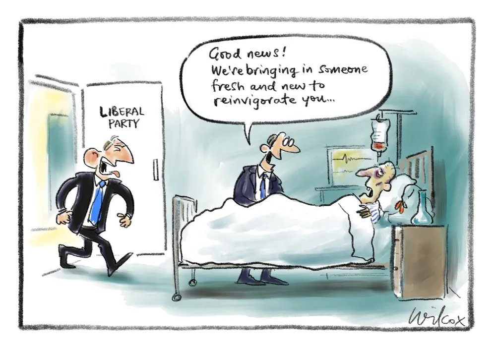 Wilcox. #auspol #Revival