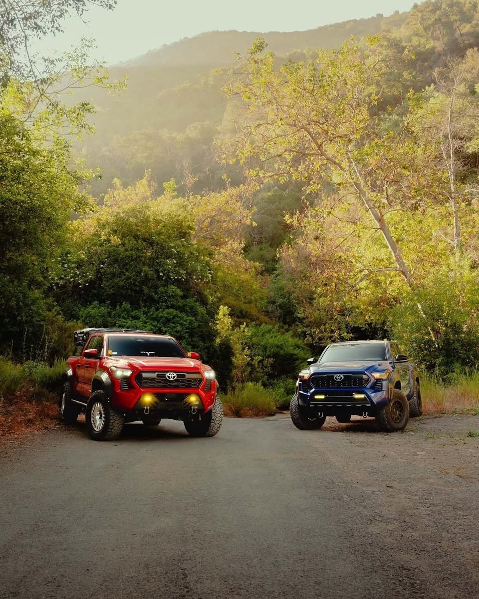 EarnhardtAuto's tweet photo. Keep going up. ✌
#Toyota #Tacoma #TacomaTRD
📸: @varography and @brajcoma https://t.co/YHcNwCpLRI