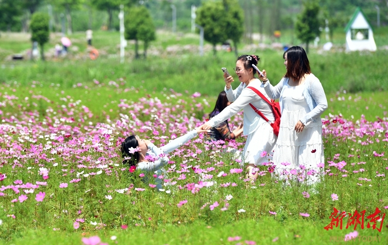 HelloChangsha tweet media