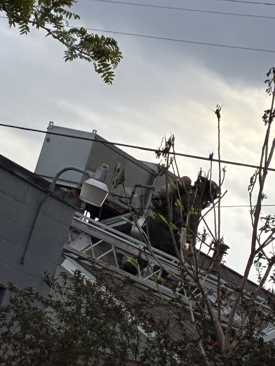 Denver Fire Department tweet media