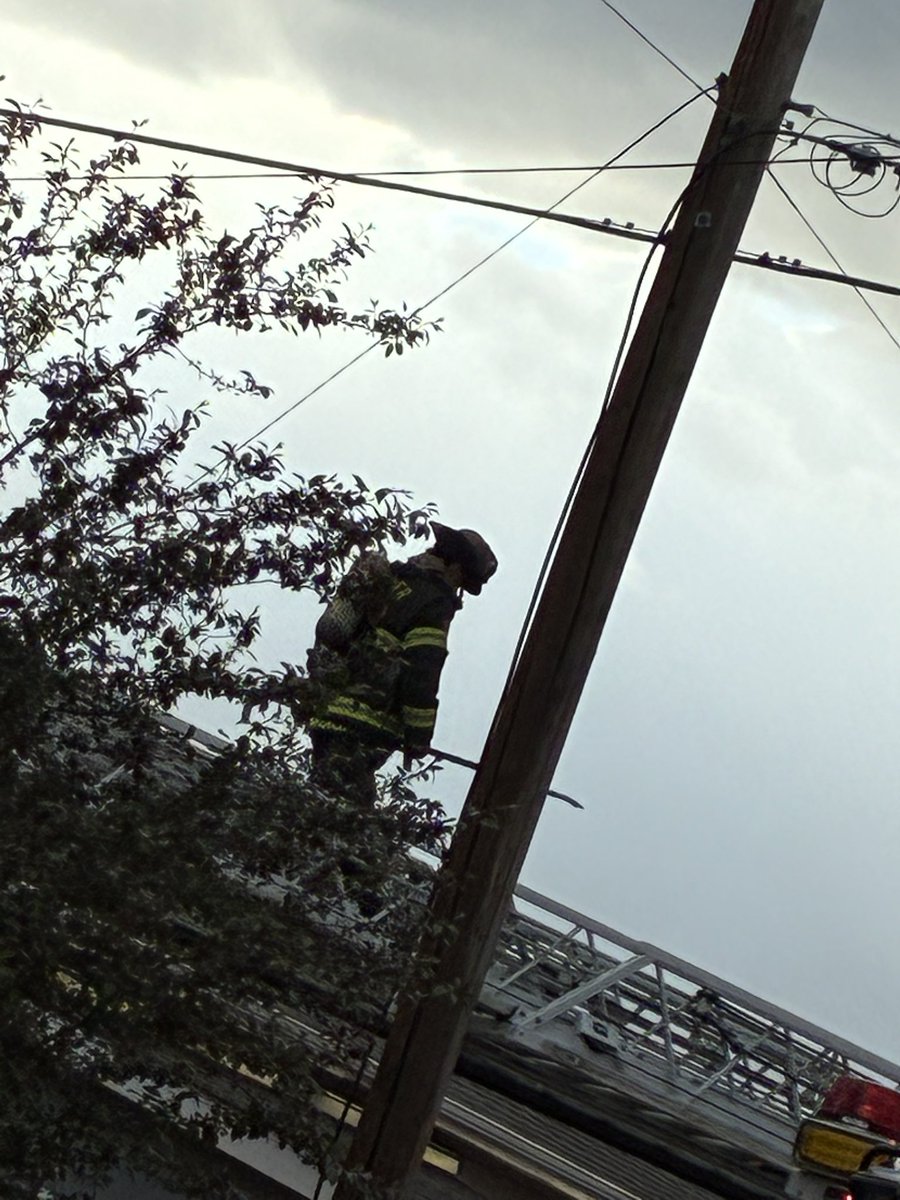 Denver Fire Department tweet media