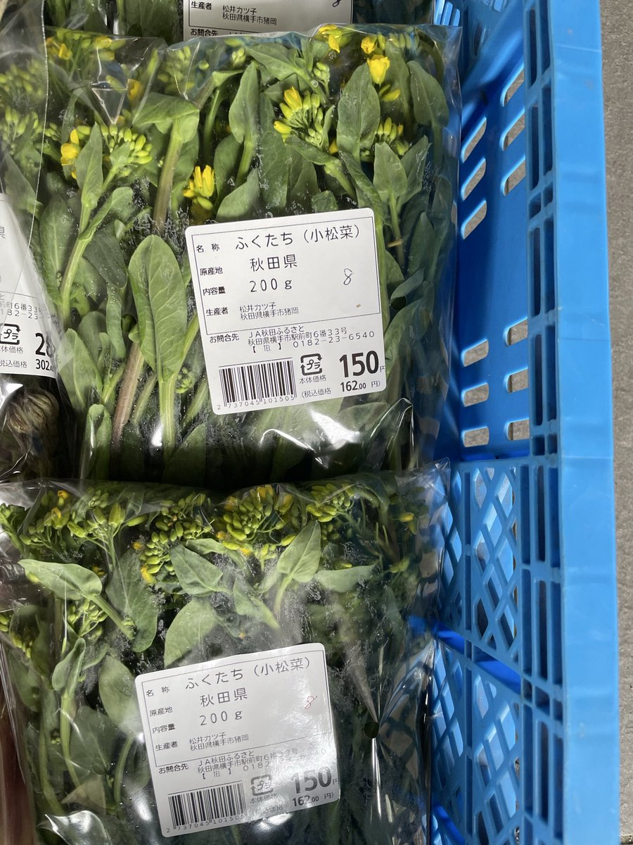 jaakitafurusato's tweet photo. 2026.05.08
今日はほうれん草、うど、ゆでわらび、がおすすめです✨
他にもニラやえご、梅漬けや、りんごもあります🍎 https://t.co/zV2v0DMbGO