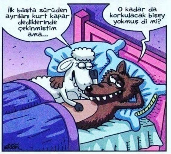 Kadir GÜNDOGDU 🇹🇷 tweet media