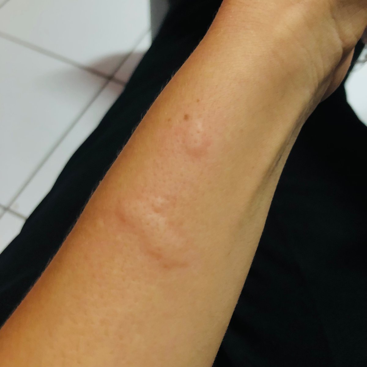 memelinnn's tweet photo. hoje no meio da aula essa diva decidiu que era minha hora https://t.co/lrjL44XoGW
