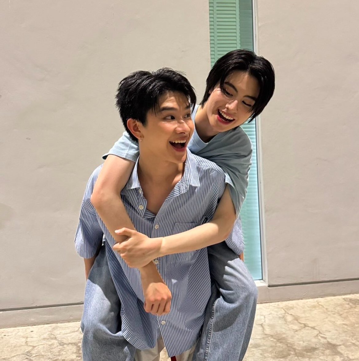🍀พืช :P tweet media