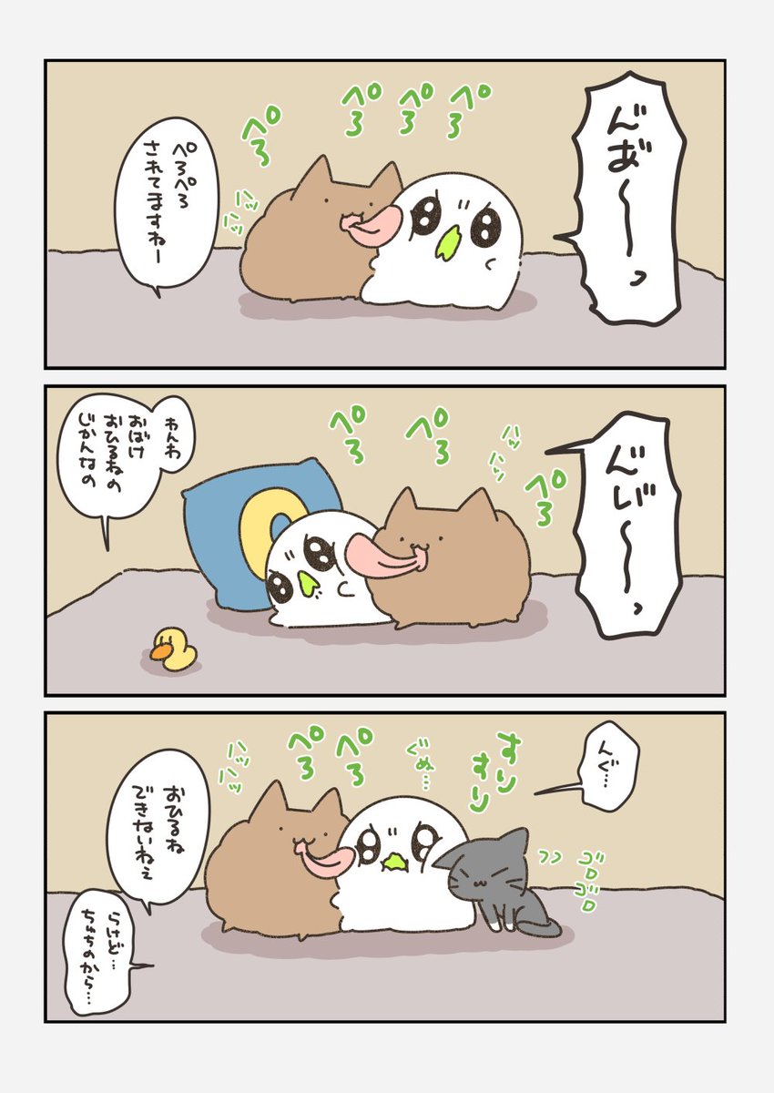 おばちぇ【公式】 tweet media