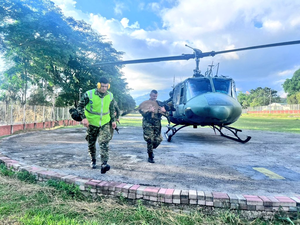 Primera División del Ejército Nacional tweet media