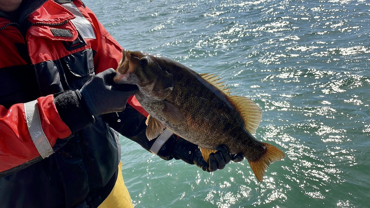 FishBio_Briggs tweet picture