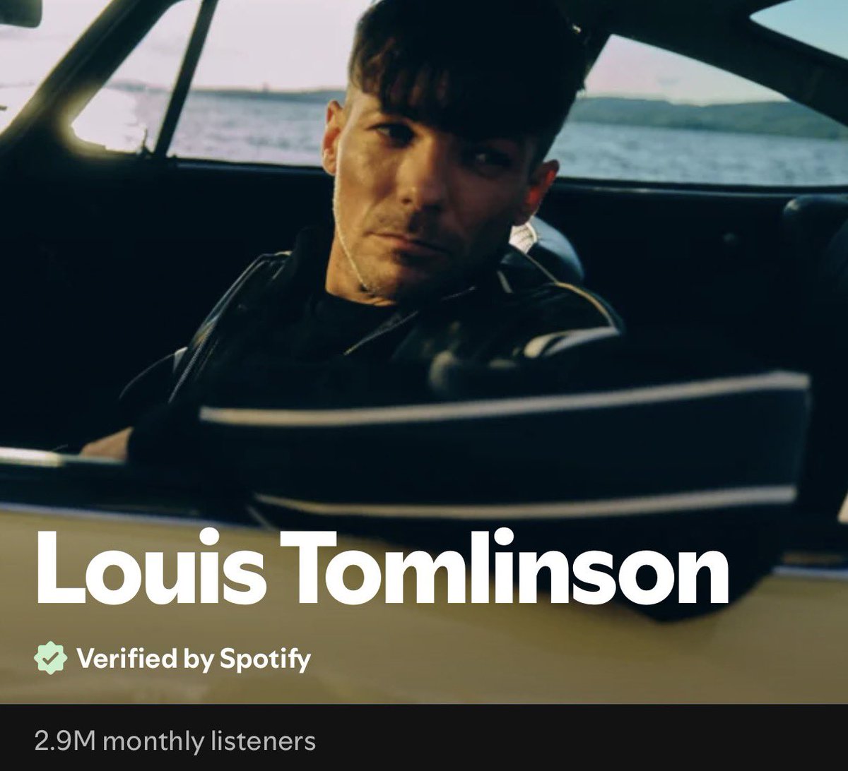 🚨| Spotify has confirmed that Louis Tomlinson is real. We were all wondering.