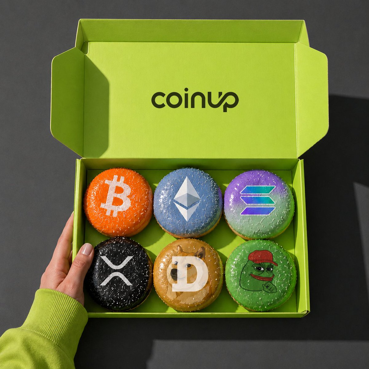 Sukura@Coinup tweet media