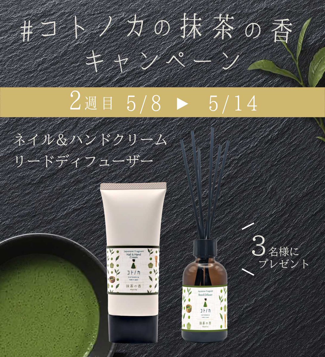 コトノカ tweet media