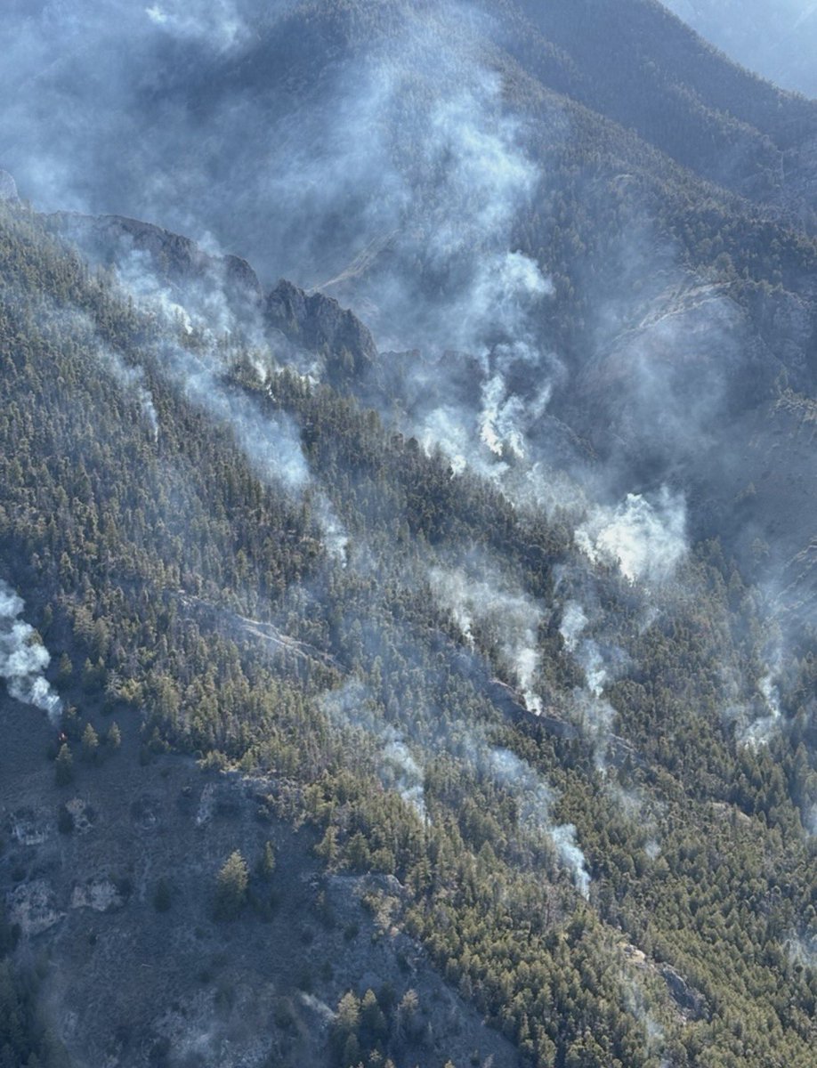 Salmon-Challis NF tweet media