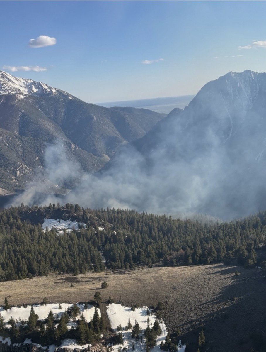 Salmon-Challis NF tweet media