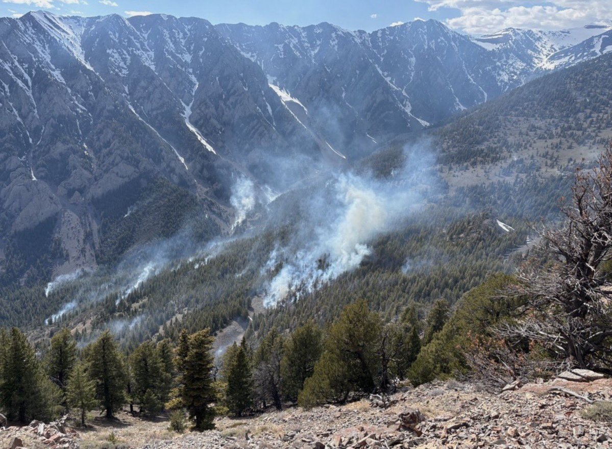 Salmon-Challis NF tweet media