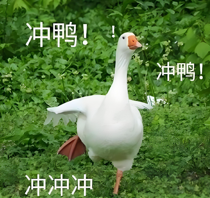 度歌 tweet media