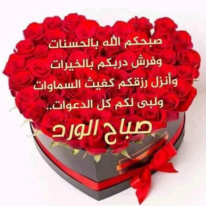 ♕وردةالربيع♕ tweet media