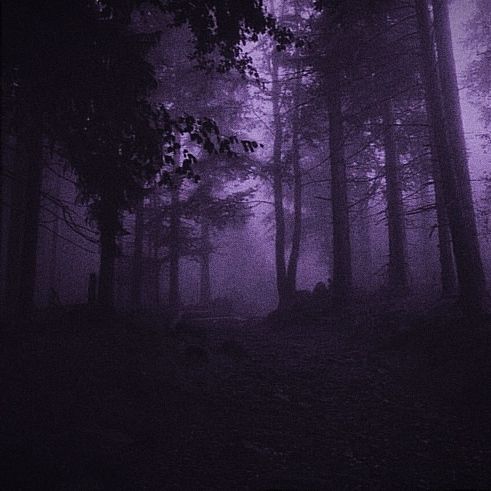 frostadsevil's tweet photo. @poetsofmidnight Claramente roxo https://t.co/ovZbJfoK88