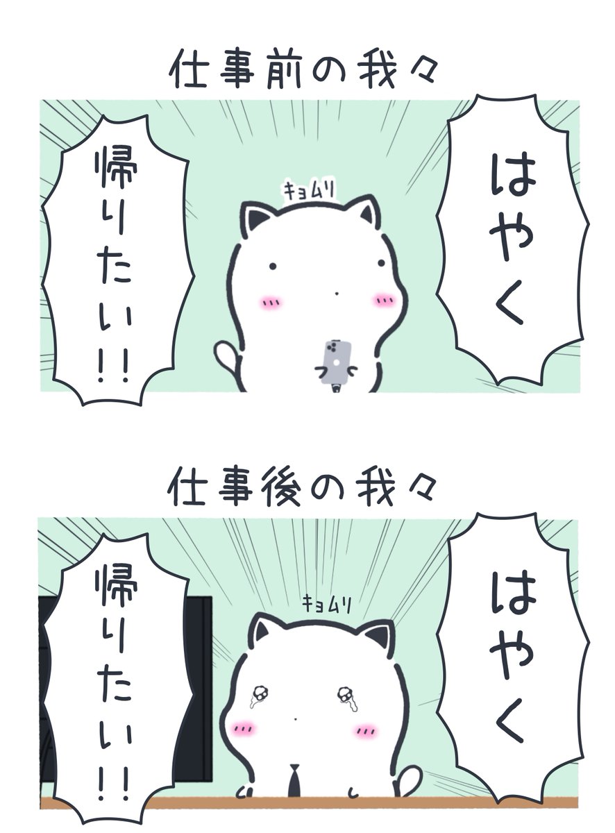 まよねこの勤労🐈💨 tweet media