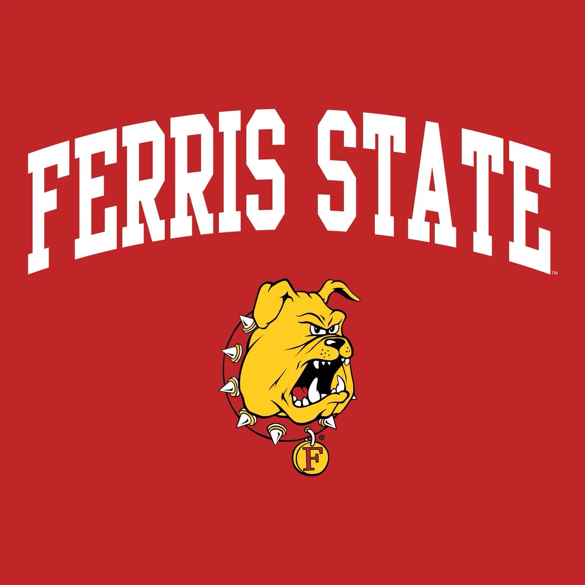 Hostetler_T14's tweet photo. Thank you @FerrisFootball  for sending Coach Brown to visit @VHSDawgs and answer our questions about the program. I don’t know where I’m going to end up playing football, but I am extremely grateful for all the opportunities to talk with so many great coaches and programs! https://t.co/RyQ0x3q9m3