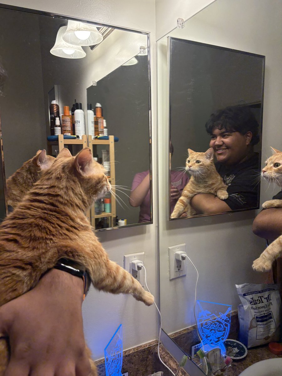 WebsWilson's tweet photo. my boys https://t.co/NJfYv8mQrj