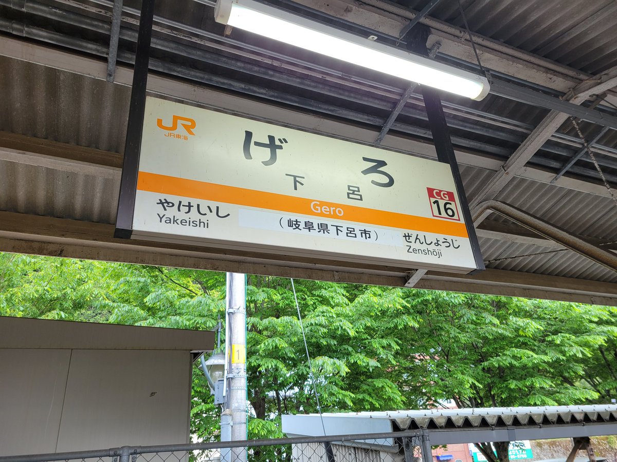 ここのり🧩🐾 tweet media