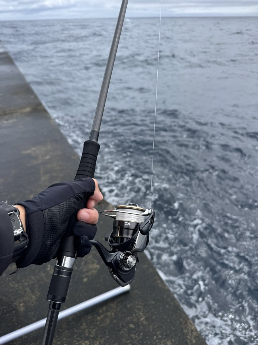 えびこ (@NALUSanglers) / Posts / X