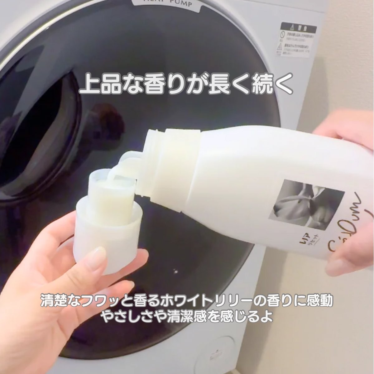 キウイ| Kiwi Kui tweet media