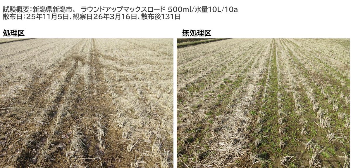 米袋ショップ【米袋のマルタカ】公式通販サイト｜豊富な米袋を販売中