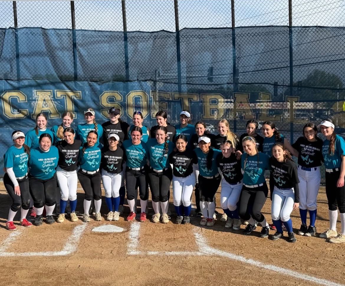 WHSactivities's tweet photo. Seniors last home game and our game to honor and support Megan's Message.  Go Cats! 🥎🐱💙🙌 https://t.co/uTsPZPhYkf