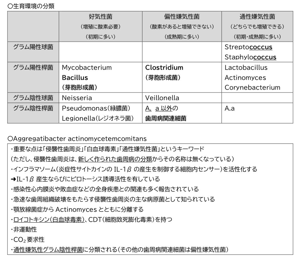 歯科医師国家試験対策 ロムニーハウス勉強会【講師 Dr.N