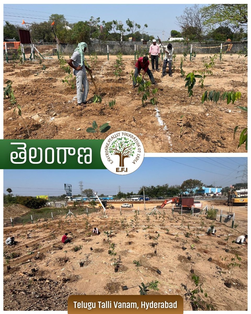 Environmentalist Foundation of India tweet media